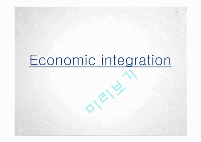 경제통합의 개념과 주요 경제통합체,경제통합과 기업 및 한국이 직면한 과제   (1 )